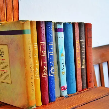 Afet Hanim Konagi Alacati