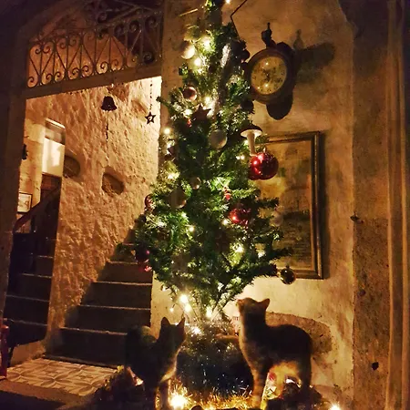 Afet Hanim Konagi Vendégház 4*