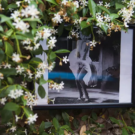 Afet Hanim Konagi 4* Alacati