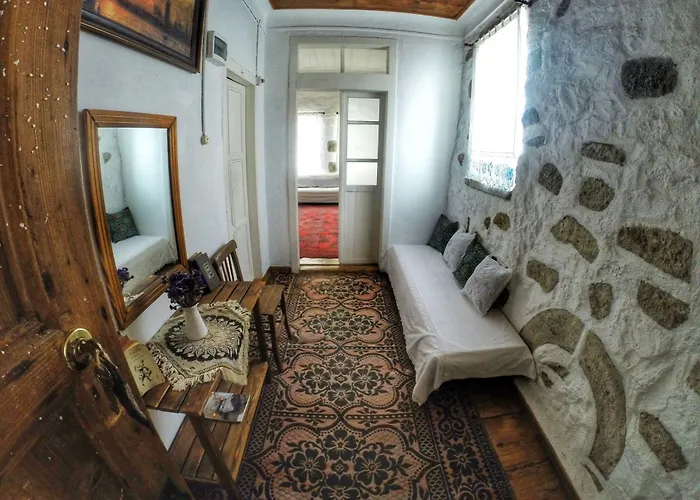 Pensjonat Afet Hanim Konagi 4*