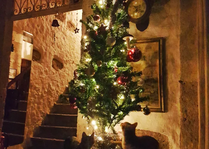 Afet Hanim Konagi Pensjonat 4*