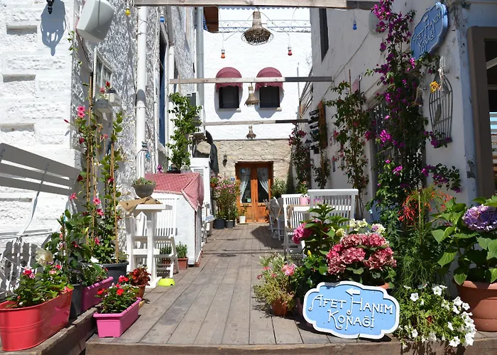 Afet Hanim Konagi 4*